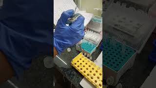 The art of pipetting 👩🏻‍🔬 labwork pipette biotechnology youtubeshorts explore like subscribe [upl. by Haon621]