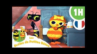 DRÔLES DE PETITES BÊTES  1 Heure  Compilation 03 [upl. by Duax]