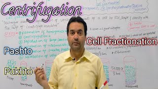 Centrifugation  Cell Fractionation  Biology  Class 11  Dr Mushtaq Pashto Lectures [upl. by Suzanne]