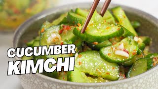 Oi Muchim 오이무침 CUCUMBER KIMCHI  Spicy Pickled Cucumber Recipe by Always Yummy [upl. by Guendolen418]