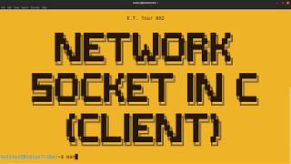 Network Socket in C Client [upl. by Nilorac]