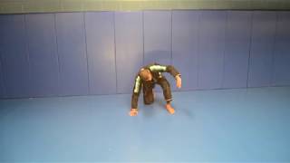 Basic BJJ Front Roll [upl. by Ynned73]