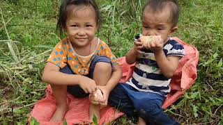 Two sisters go to harvest fruit to sell to make money [upl. by Ekrub]