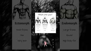 Ectomorph Mesomorph oder Endomorph bodybuilding body fitness [upl. by Yeuh]