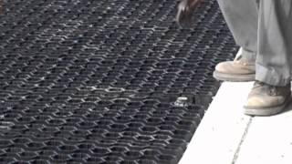 EZ Roll Paver Install San Jose  Drainage Solutions Inc [upl. by Asilem795]