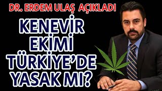 KENEVÄ°R EKÄ°MÄ° ÃœLKEMÄ°ZDE YASAK MI DR ERDEM ULAÅ KENEVÄ°RLE Ä°LGÄ°LÄ° Ã‡ARPICI AÃ‡IKLAMALAR YAPTI [upl. by Zolnay853]