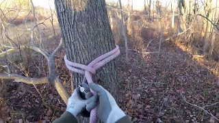 The Cow Hitch w a Better Half Hitch  Arborist Knots [upl. by Bard]