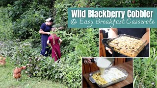 Irresistible Wild Blackberry Cobbler and Easy Breakfast Casserole [upl. by Ibot]