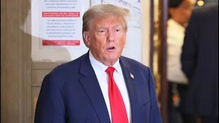 Trump goes FULL DESPERATION in panicked move in DC court [upl. by Annoif667]