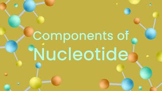 Grade12 Components of Nucleotide [upl. by Barbey31]