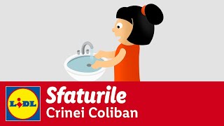 Cum te aperi de toxiinfectie alimentara • Sfaturile Crinei Coliban [upl. by Heurlin]