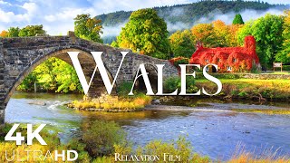 Wales UK • Relaxation Film  Peaceful Relaxing Music  Nature 4k Video UltraHD [upl. by Feinstein251]