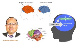 Consciousness and Subconsciousness Mind [upl. by Aissej944]