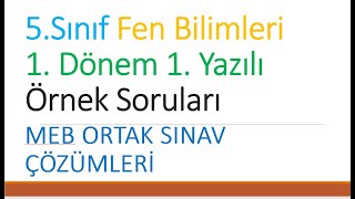 5Sınıf FEN BİLİMLERİ 1 Dönem 1 Yazılı Örnek Soruları MEB ORTAK SINAV ÇÖZÜMLERİ CEVAPLARI [upl. by Eniladam]