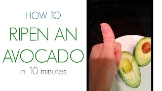 LifeHack How To Ripen An Avocado In 10 Minutes [upl. by Yrdua]