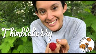 Thimbleberry Ep 7  Botany with Brit [upl. by Anoli928]