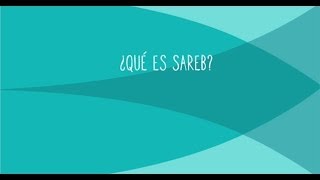 Un vídeo para explicar qué es Sareb ¿Es un banco malo [upl. by Vinny]