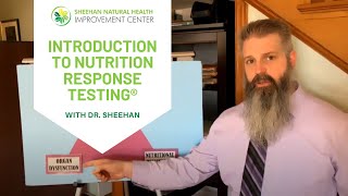 Introduction To Nutrition Response Testing  With Dr Sheehan [upl. by Buskus399]