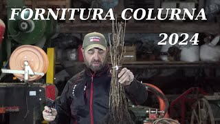 unboxing fornitura Corylus Colurna dalla Fairplant 2024 [upl. by Renrag]