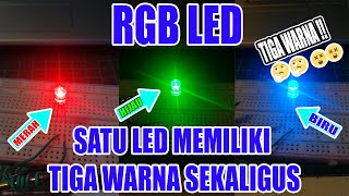 LED RGB Satu LED Multi Warna  Komponen Elektronika [upl. by Umont]