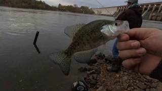 Fishing Bagnell Dam Day 2 [upl. by Elman]