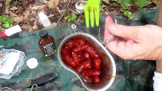 Canteen Cup Tuesday  Whiskey BBQ Lil Smokies [upl. by Aihseken949]