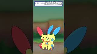 Plusle y Minun Yo te elijo Pokémon Furry [upl. by Hjerpe570]