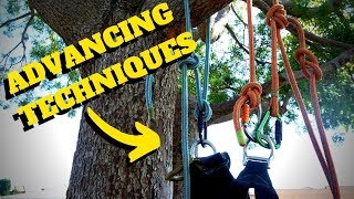 HOW TO ADVANCE A CLIMBING LINE Intro to Tree Climbing W Bino H amp Noah Pt14 [upl. by Sternberg]