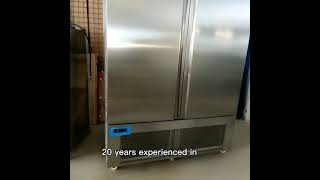 Blast chiller shock freezer Irinox EasyFresh Next SL SelfContained Rapid Blast Chiller [upl. by Panta]