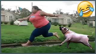 Full Video Try Not To Laugh Challenge 😂 ▶ LEVEL 15  Instant Regret Fails Compilation 2024 [upl. by Yspyg]