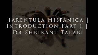 Tarentula Hispanica  Introduction Part 1  Dr Shrikant [upl. by Cullen]