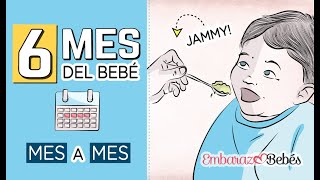 📆👶🏻 SEXTO MES del bebé  6 MES  Desarrollo y cuidados [upl. by Nimrac642]