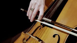 Bach Cello Suite No 1  Prelude  Performed by Janelle Sands [upl. by Dnumsed311]