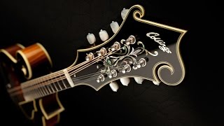 Inside Collings Mandolins [upl. by Gladdie]