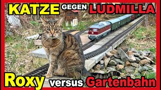 KATZE ROXY und die LUDMILLA Mieze wird von der GartenbahnGroßdiesellok Baureihe 132 verscheucht [upl. by Nellek]