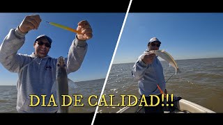 Que hermosos pescados tenés el Rio de la Plata  pesca de pejerrey 2024 [upl. by Leirad]