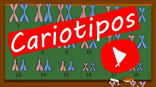 Tipos de CROMOSOMAS👨🏽‍🏫🧬🔬🧫 CARIOTIPO GENÉTICO  Te lo explico RÁPIDO y FÁCIL [upl. by Eelreveb]