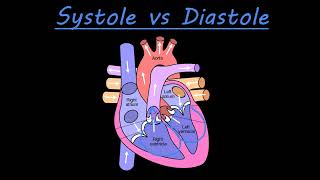 Introduction to the Cardiac System [upl. by Sunda]