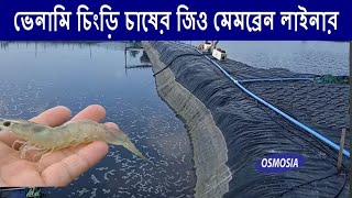 Vannamei Shrimp Farming By Pond Liner in BD জিও মেমব্রেন লাইনার চিংড়ি হ্যাচারির নার্সিং পুকুর [upl. by Eivad]