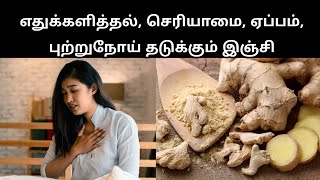 செரிமான கோளாறு ஏப்பம் புற்றுநோய் தடுக்கும் இஞ்சி  serimanam aga tips in tamil  இயற்கை மருத்துவம் [upl. by Ecnerwaled931]