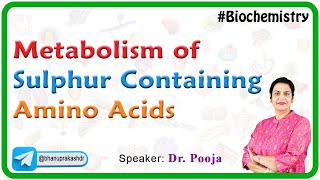 Metabolism Of Sulphur Containing Amino Acids  Biochemistry [upl. by Hickey]