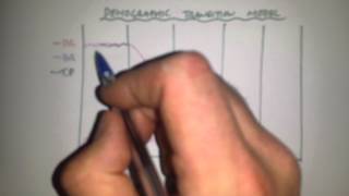 The Demographic Transition Model [upl. by Iliram]