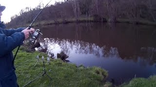 2 Tanches 1 chevesne en rivière sauvage  bouillette fraise et maïs [upl. by Llerrac]