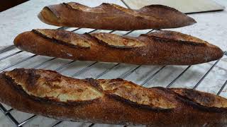 Sourdough Baguettes Bread Flour 100 Natural Levain [upl. by Aihseym]