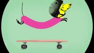 Wiener Dog Riding A Skateboard Animation [upl. by Maidy]