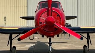 Old RADIAL Engines Cold Start Smoke and Sound THAT YOU MUST SEE [upl. by Auhsuj]