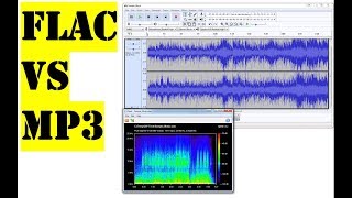 Flac vs Mp3  See the difference [upl. by Sheley165]