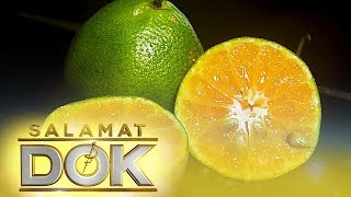 Salamat Dok The health benefits of dalandan calamansi and pomelo [upl. by Barger]