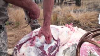 EatWild  Skinning and Boning Out a Deer  How to Backpack an Animal Out from the Field [upl. by Ait]