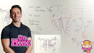 Understanding ECGs  From Placement to Interpretation [upl. by Essa]